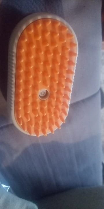 Steam Pet Brush – Καθαρισμός με ατμό, μασάζ και απομάκρυνση τριχώματος